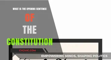 The Constitution's Opening Statement: A Powerful Introduction