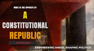 Understanding Constitutional Republics and Their Antithesis