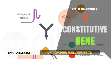 Understanding Genes: Exploring Opposite of Constitutive Expression