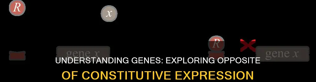 what is the opposite of a constitutive gene