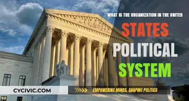 Understanding the Structure of the United States Political System