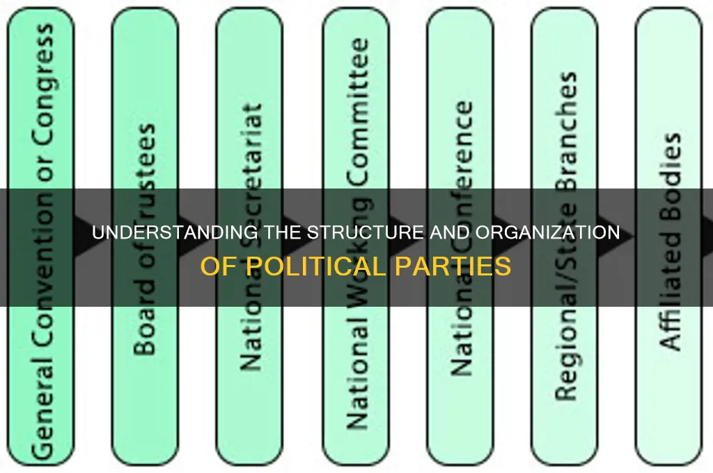 what is the organization of political parties