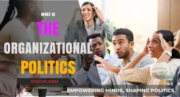 Understanding Organizational Politics: Navigating Workplace Dynamics and Power Structures