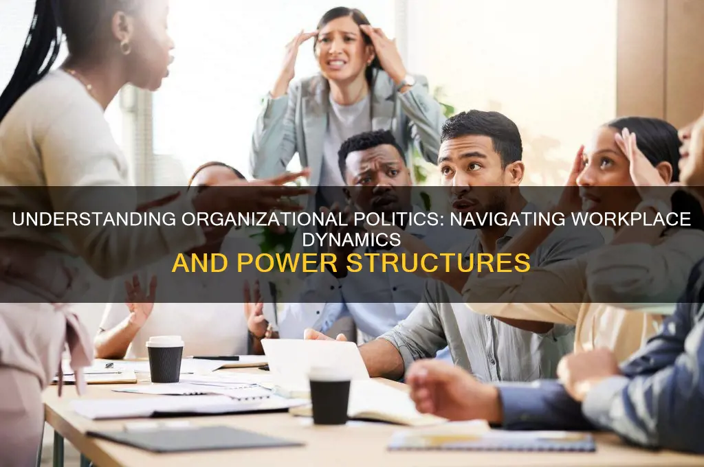 what is the organizational politics