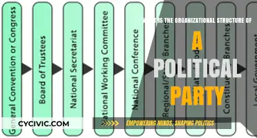 Understanding the Organizational Framework of Political Parties: A Comprehensive Guide