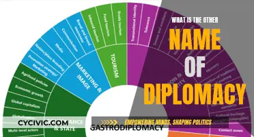 The Art of Persuasion: Diplomacy's Other Name