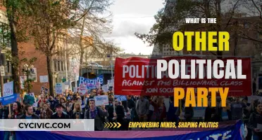 Exploring the Alternative: Understanding the Other Political Party's Role