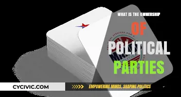 Understanding Political Party Ownership: Structure, Control, and Influence Explained