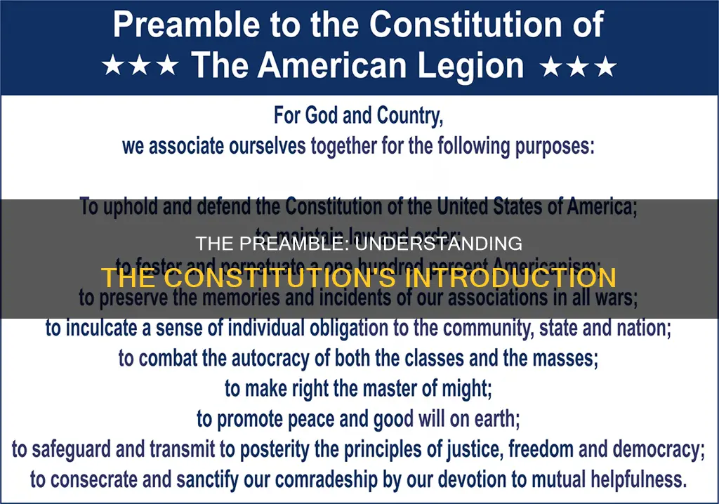 what is the paragraph called that precedes the constitution