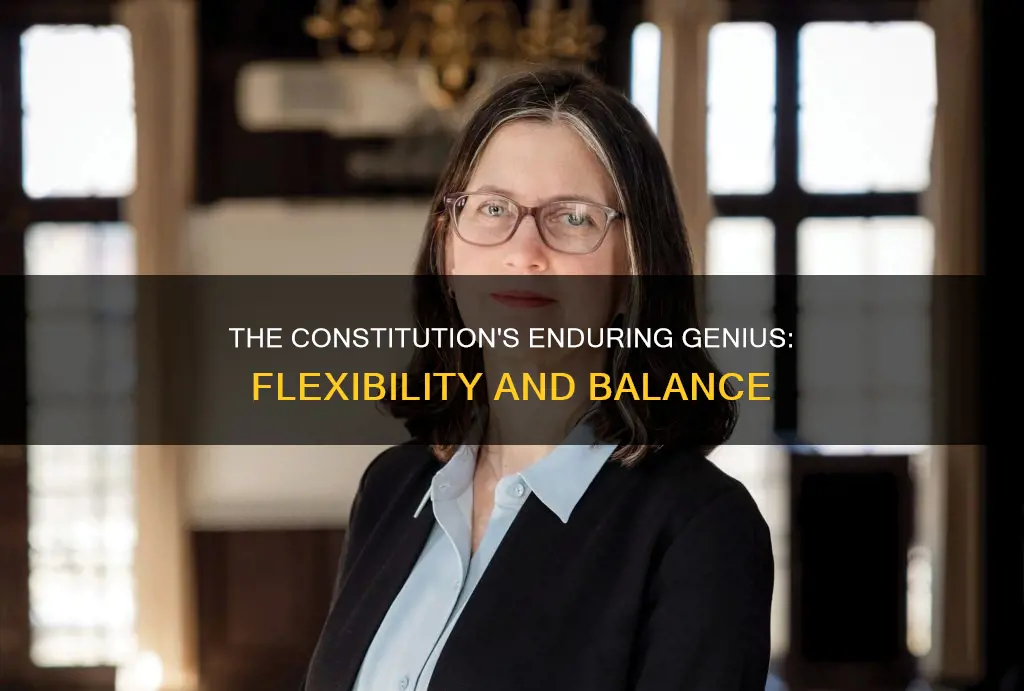 what is the particular genius of the constitution