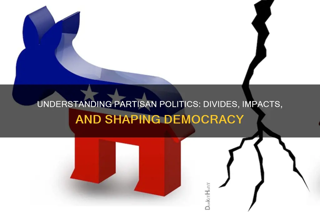 what is the partisan politics