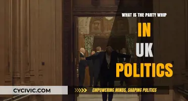 Understanding the Role of the Party Whip in UK Politics