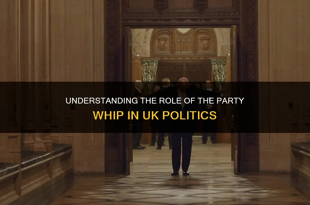 what is the party whip in uk politics