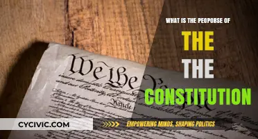 Understanding the Purpose of the Constitution