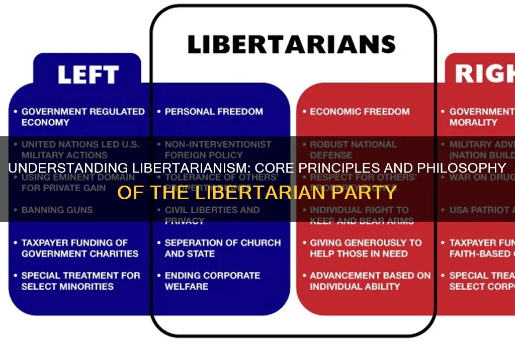 what is the philosophy of the libertarian political party