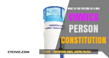 Nux Vomica Personality: Understanding the Constitutional Picture