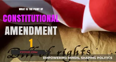 Understanding the First Amendment's Purpose