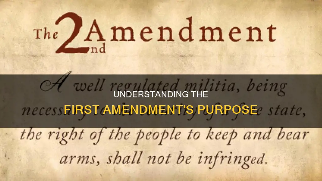what is the point of constitutional amendment 1