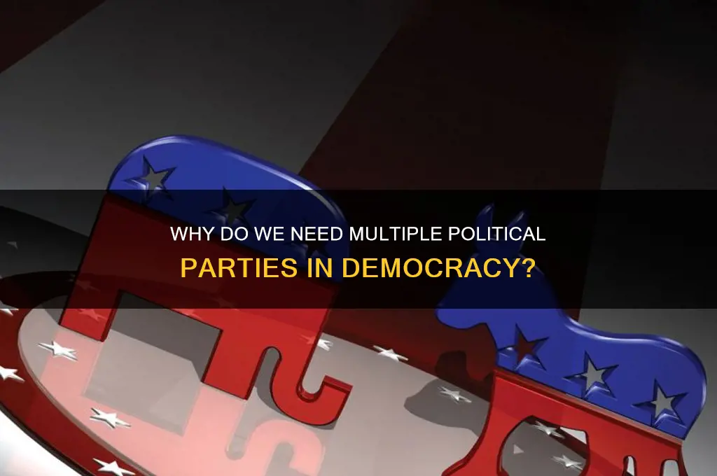 what is the point of other political parties