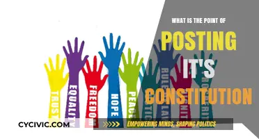 The Constitution: Why It Matters and What It Means