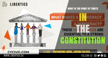 Understanding the Constitution's Tenets: Why They Matter