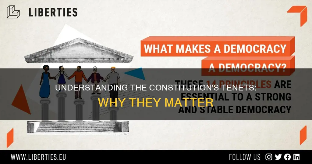 what is the point of tenets in the constitution