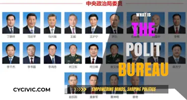 Understanding the Polit Bureau: Structure, Role, and Global Influence