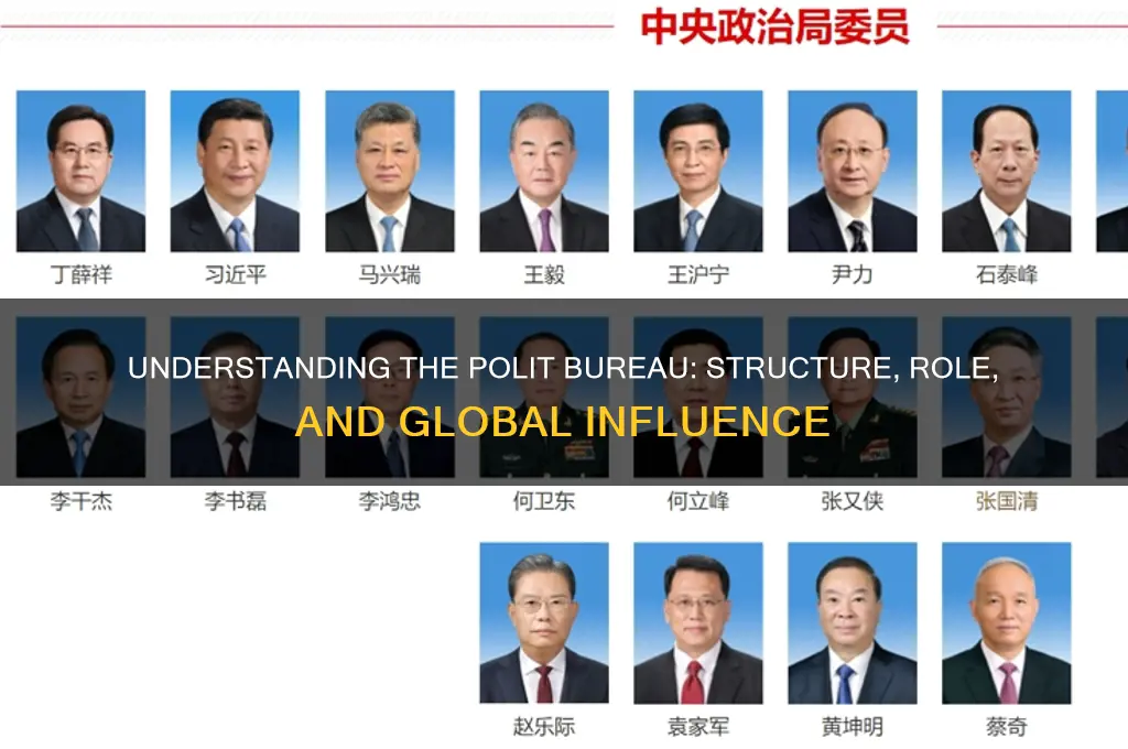 what is the polit bureau