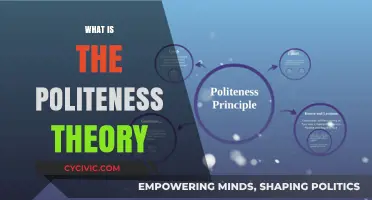 Understanding Politeness Theory: Principles, Applications, and Real-World Implications