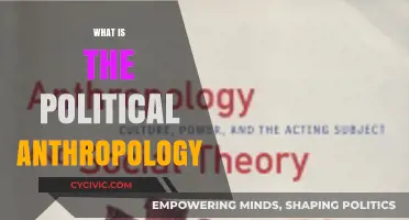 Exploring Political Anthropology: Power, Culture, and Social Structures