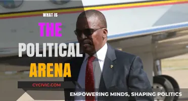 Understanding the Political Arena: Power, Players, and Processes Explained
