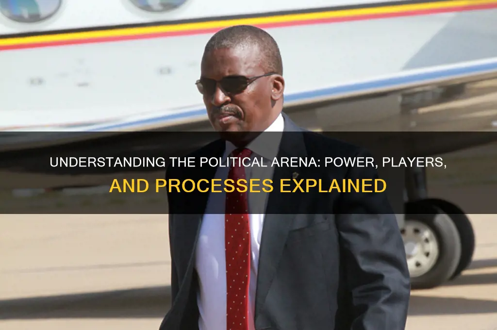 what is the political arena