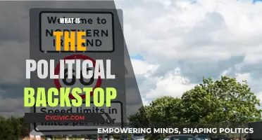 Understanding the Political Backstop: Definition, Role, and Implications Explained