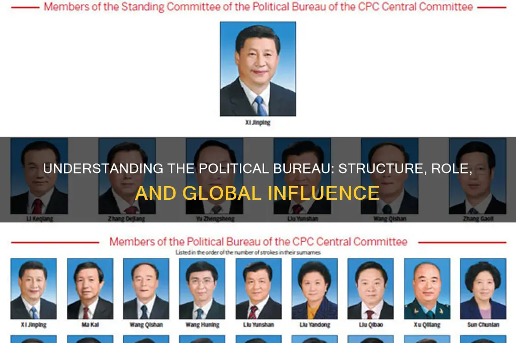 what is the political bureau