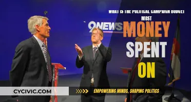Campaign Spending: The Most Expensive Political Race