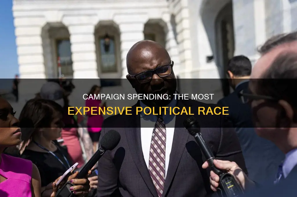 what is the political campaign budget most money spent on