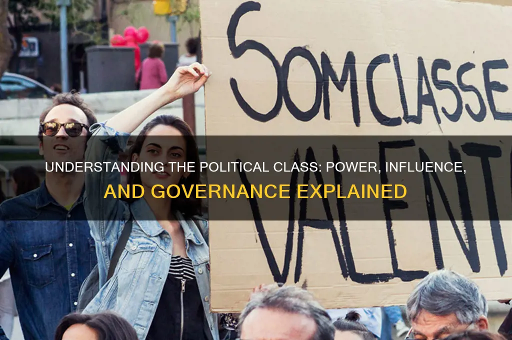 what is the political class