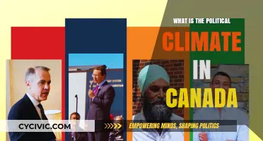 Navigating the Nuances: Canada's Current Political Landscape Explored