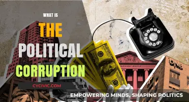 Understanding Political Corruption: Causes, Consequences, and Global Impact