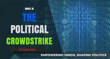 Understanding the Political Crowdstrike: Implications and Controversies Explained