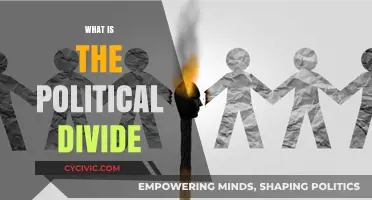 Understanding the Political Divide: Causes, Impacts, and Bridging the Gap