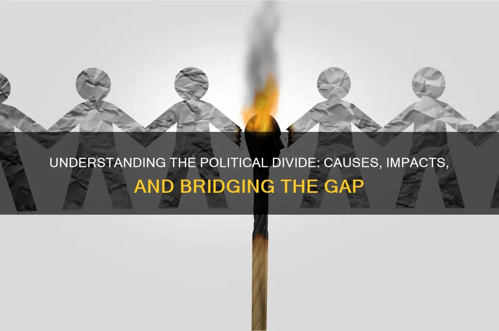 what is the political divide