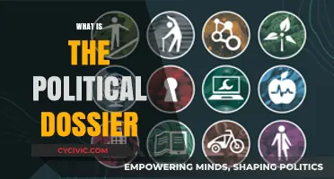 Understanding the Political Dossier: Definition, Purpose, and Impact Explained