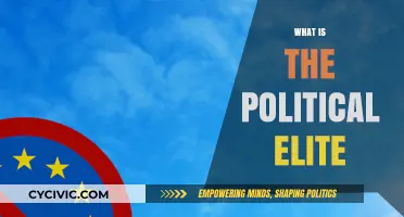 Understanding the Political Elite: Power, Influence, and Governance Explained