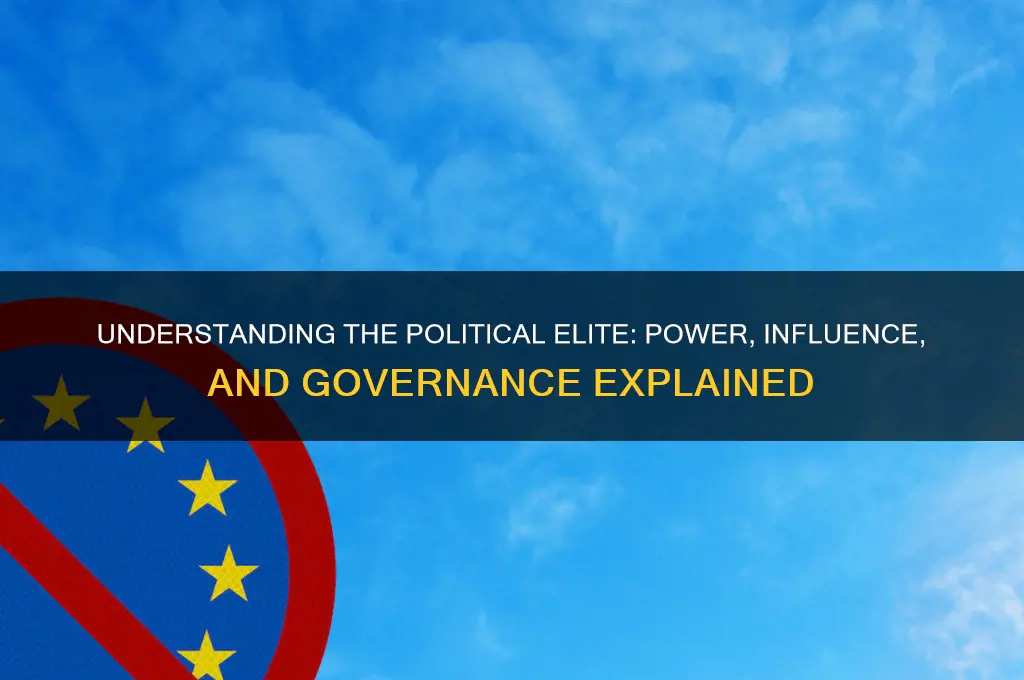 what is the political elite