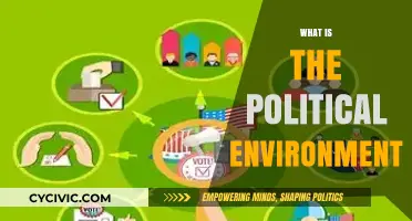 Understanding the Political Environment: Key Factors and Their Impact