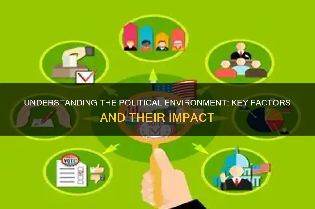 what is the political environment