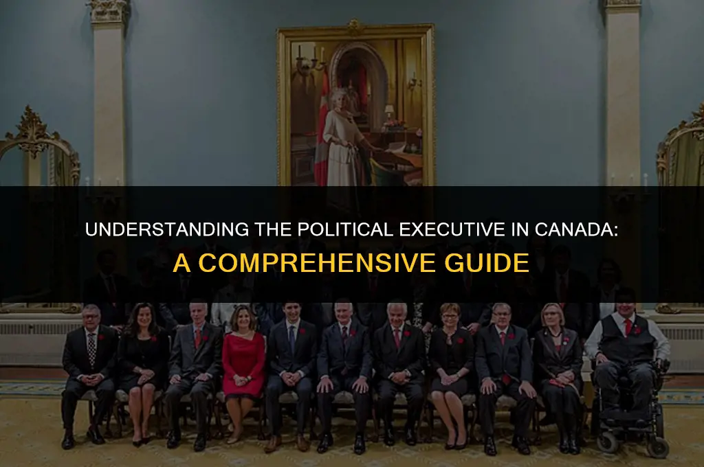 what is the political executive in canada