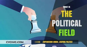 Understanding the Political Field: Dynamics, Players, and Power Structures