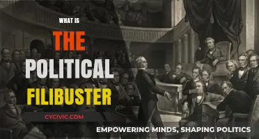 Understanding the Political Filibuster: Tactics, History, and Impact Explained